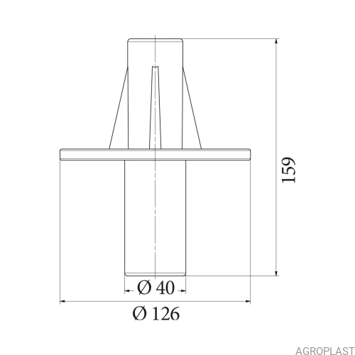 220738_rys.jpg