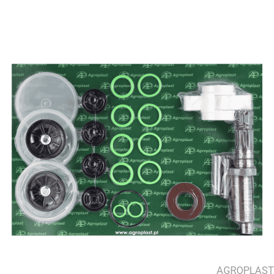P-100 Pump Repair Kit