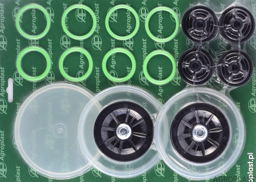 Repair kit  P-100 with valves